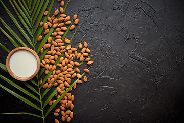 Image showing Amond seeds with bowl of fresh natural milk placed on black stone background