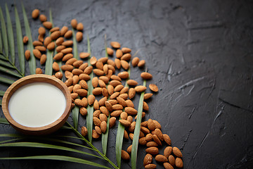 Image showing Amond seeds with bowl of fresh natural milk placed on black stone background