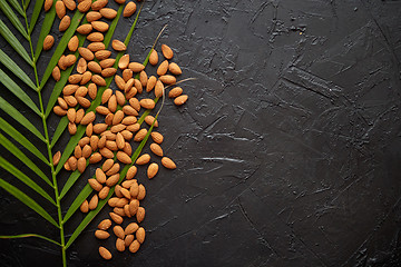 Image showing Almond seeds and palm leaf placed on black stone table with copy space for text