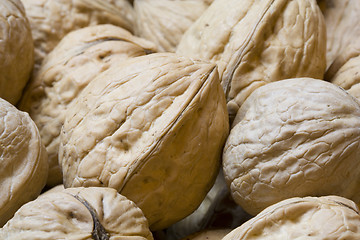 Image showing walnuts pattern