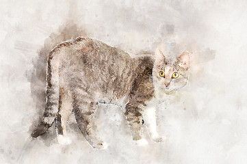 Image showing A graceful gray tabby cat with yellow eyes stands and looks at the camera.. Stylization in watercolor drawing.