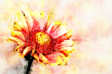 Image showing Red Helenium flower close-up on green grass background. Stylization in watercolor drawing.