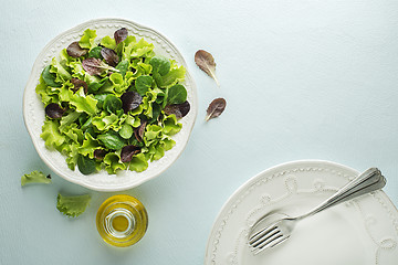 Image showing Salad green