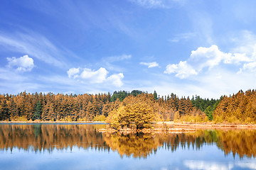 Image showing Autumn lake scenery with colorful trees