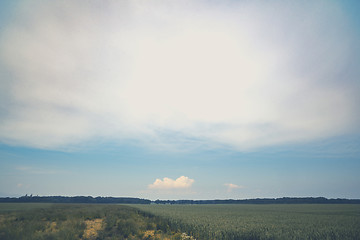 Image showing Rural countryside landscape with matte effect