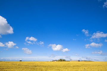 Image showing Farm in a countryside landscape with golden fields