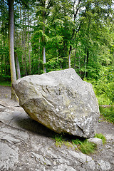 Image showing Large rock in a green forest in the summer