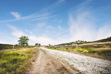 Image showing Dirt road with green grass by the roadside