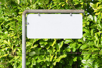 Image showing Blank sign on a street with a green bush
