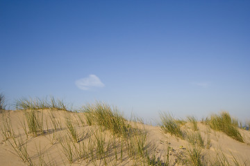 Image showing The Dune