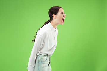 Image showing Isolated on green young casual woman shouting at studio