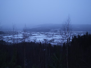 Image showing Winter Landscape