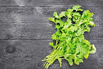 Image showing Cilantro fresh on board top