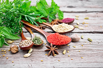 Image showing Spices in spoons on board