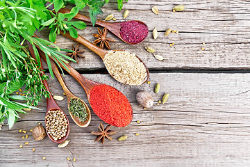 Image showing Spices in spoons on board top