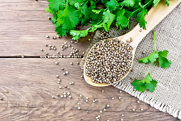Image showing Coriander seeds in wooden spoon on board top
