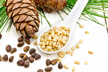 Image showing Cedar nuts peeled in spoon on light board