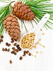 Image showing Cedar nuts peeled in spoon on board top