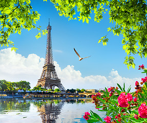 Image showing Eiffel tower and flowers