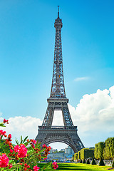 Image showing Spring in Paris