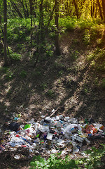 Image showing Garbage in the Forest - Environmental Pollution