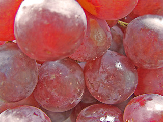 Image showing Red grape