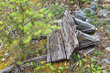 Image showing Wooden Wheelbarrow