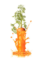 Image showing Carrot juice splash with root in the glass.