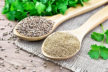 Image showing Coriander ground and seeds in two spoons on board