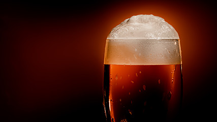 Image showing Lager beer settles in the glass with a white cap of foam