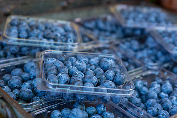 Image showing Punnets of fresh blueberries