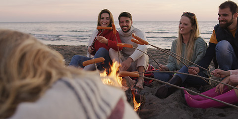 Image showing Group Of Young Friends Sitting By The Fire at beach