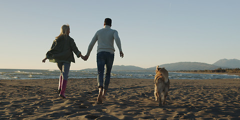 Image showing couple with dog having fun on beach on autmun day