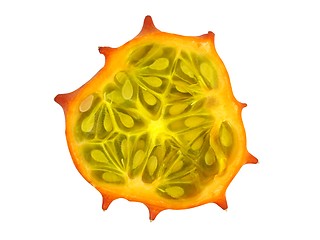 Image showing Kiwano slice on white