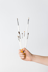 Image showing Hand holding white paintbrushes