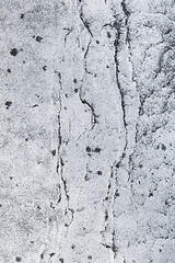 Image showing Mossy gray stone surface