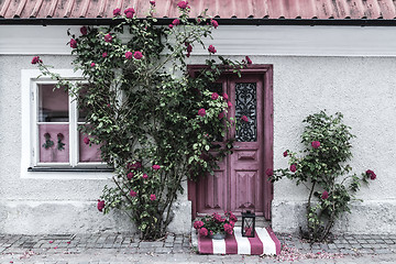 Image showing Picturesque house entrance decorated with roses