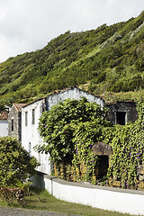 Image showing Ruined house in Lages do Pico, Azores