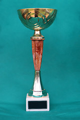 Image showing Champion cup with reflection on green background