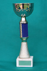 Image showing Champion cup with reflection on green background