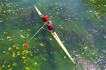 Image showing Two young athletes rowing team on green lake