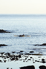 Image showing Rowboat approaching in Pico,  Azores