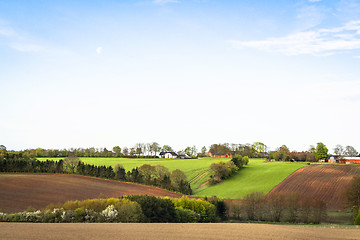 Image showing Rural landscape with cultivated fields