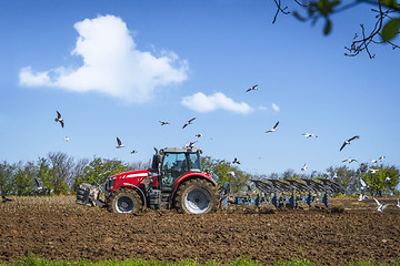 Image showing Seagulls flying over a rural field with a red tractor