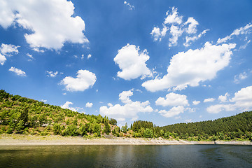 Image showing Green trees around a lake in the summer