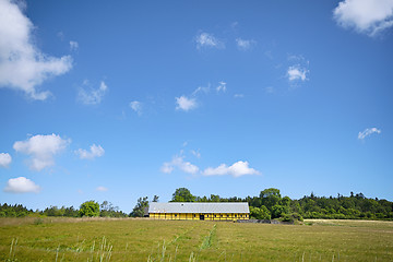 Image showing Farm in yellow colors on a green field