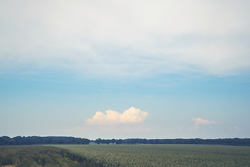 Image showing Matte landscape with rural fields