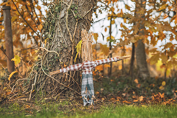 Image showing Rural scarecrow standing in a garden