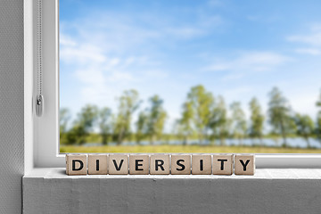 Image showing Diversity word in a window sill with a garden