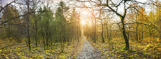 Image showing Panorama scenery with a trail going through